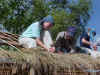 thatching.jpg (39645 bytes)