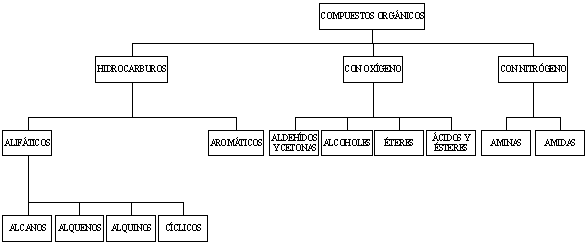 ESTRUCTURA MOLECULAR DE LOS COMPUESTOS DEL CARBONO estructura molecular de los compuestos del carbono: