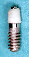 Fig. 1 Pilar prot�sico de composite atornillado sobre implante KLOCKNER.