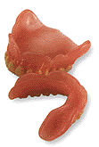 P1 (9880 bytes)