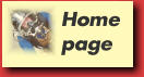 Mr. Hazards Homepage