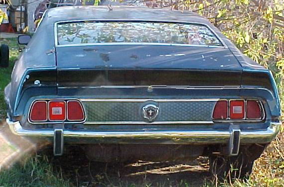 falcon