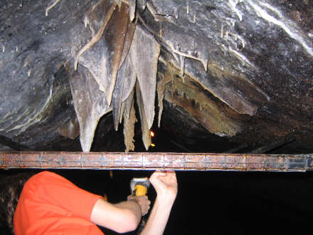 Tites (they hold on tight to the top)
