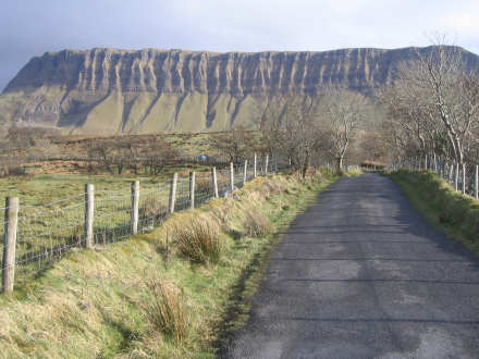 Note: when the sheep get through the fence they have nowhere to go as cars approach!