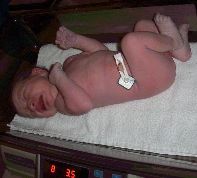 ...and weighing in at 8 lbs 3.5 oz is Lightning Liam!
