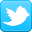 twitter bug