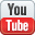 youtube bug