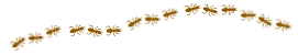ants
