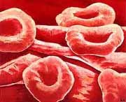 corpuscle