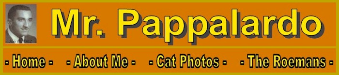 Mr. Pappalardo