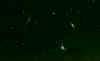 Leotrio.JPG (76181 bytes)