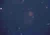 Owl.JPG (19492 bytes)