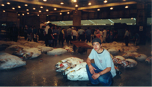 This is where they auction off the dead fish: "Two dolla! Two dolla!" 