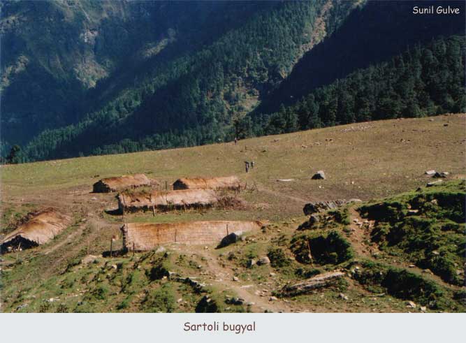 Sartoli bugyal