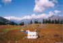 Camp at Khullara