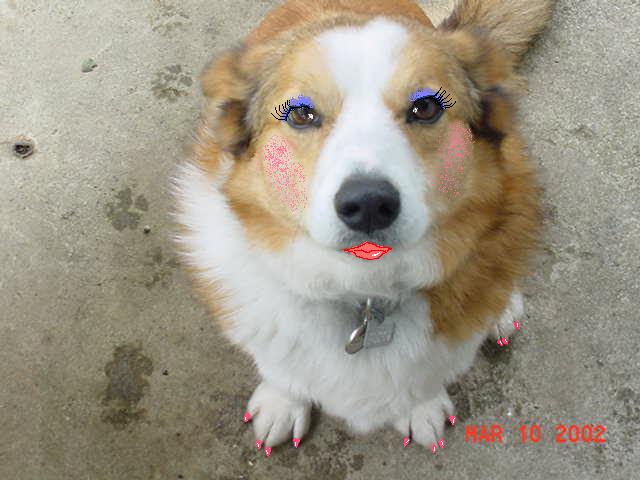 Chewy with PhotoShop make-up