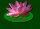 Aurora's Home Page
