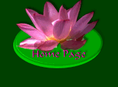 Aurora's Home Page