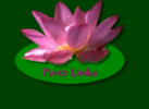 Pond Page 1 - Links