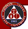 Saginaw Valley State University