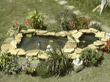 Shirley's Pond (Start to Finish)