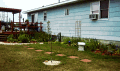 The Newest Flowerbed for 2001