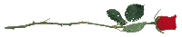 rose10.gif (2413 bytes)