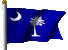 southcarolinaCLEAR.gif (8163 bytes)