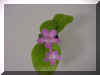 kitten face x self.jpg (135972 bytes)
