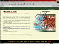 #flipz official website