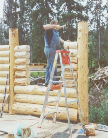Nail in the horizontal logs