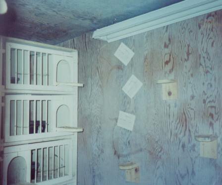 remodeling with lights