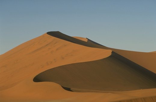 sanddune.jpg (13776 bytes)