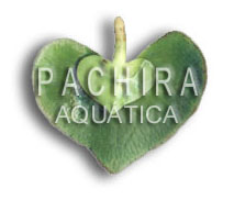 Projeto Pachira Aqu�tica