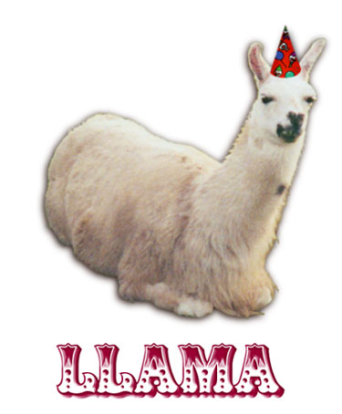 It's a Llama Party, and you're invited!