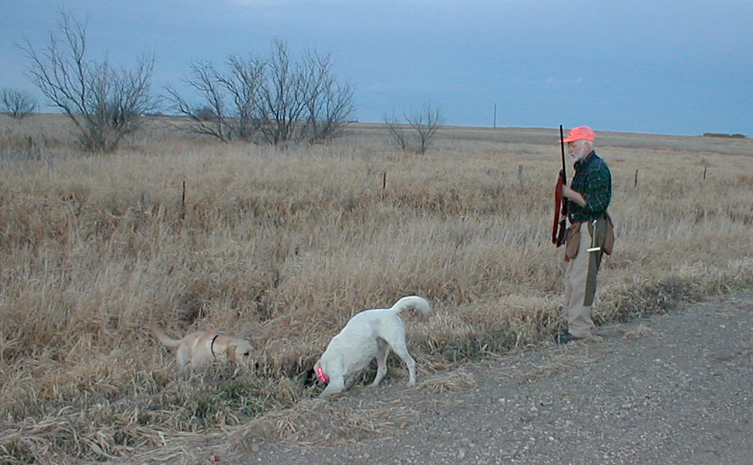 Steve watching Jack and Pepsi work in a road ditch...