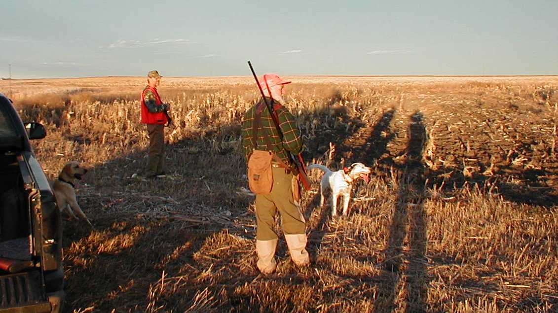 Henry and Steve waiting for Ralph to finish working part of the field as Jack and Pepsi look on....