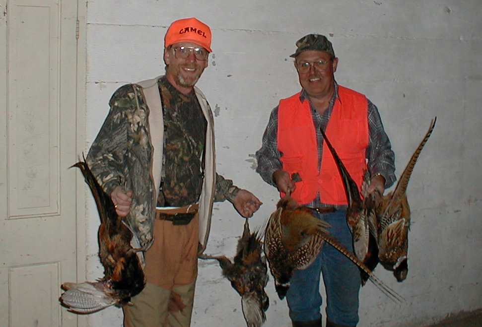 A rare combination -- a pair of turkeys with a bunch of pheasants!!