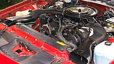Dual snorkel air intake