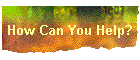 How Can You Help?