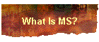 What Is MS?