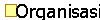 Organisasi