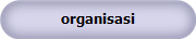 organisasi