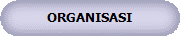 ORGANISASI