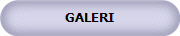 GALERI