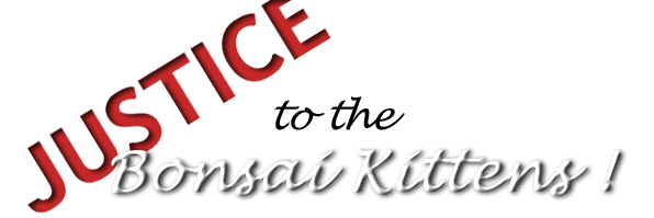 Justice to the Bonsai Kittens !