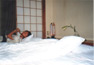 Thumbnail - A friend of mine blowing her flute on the bed