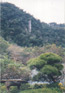 Thumbnail - A carving made on a (wow) cliff, located in a japanese garden