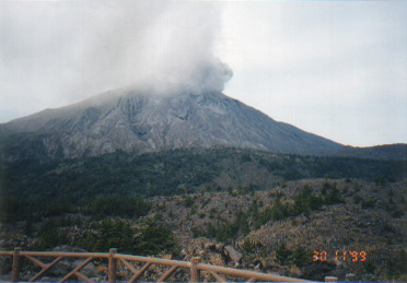 A close up picture of the Shindaka