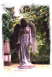 Double click to view gallery 'Cementery Images' 